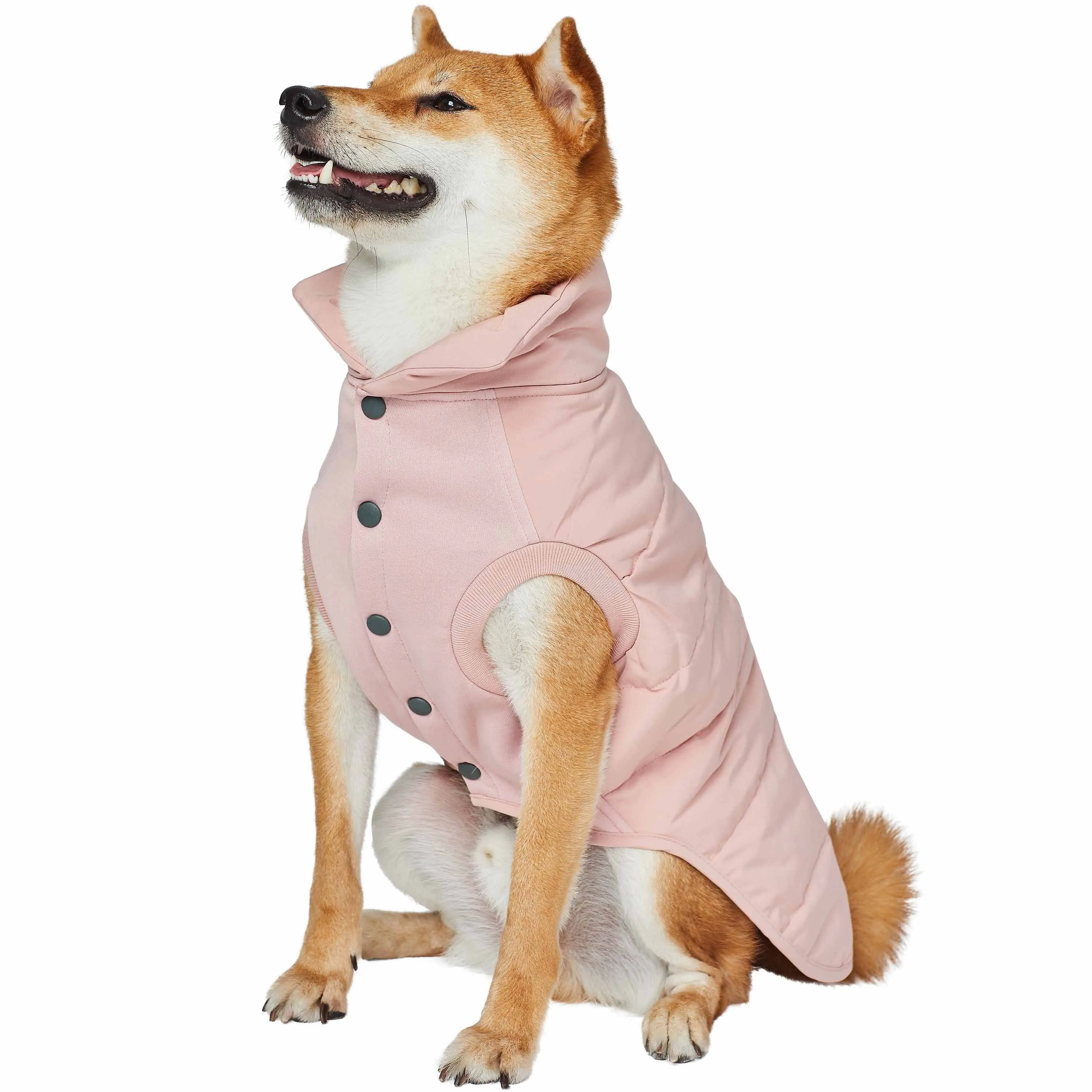 Windproof Waterproof Quilted Dog Puffer Jackets